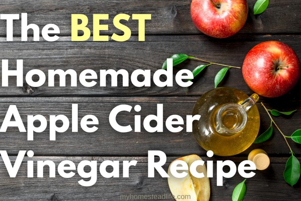 The Best Homemade Apple Cider Vinegar Recipe