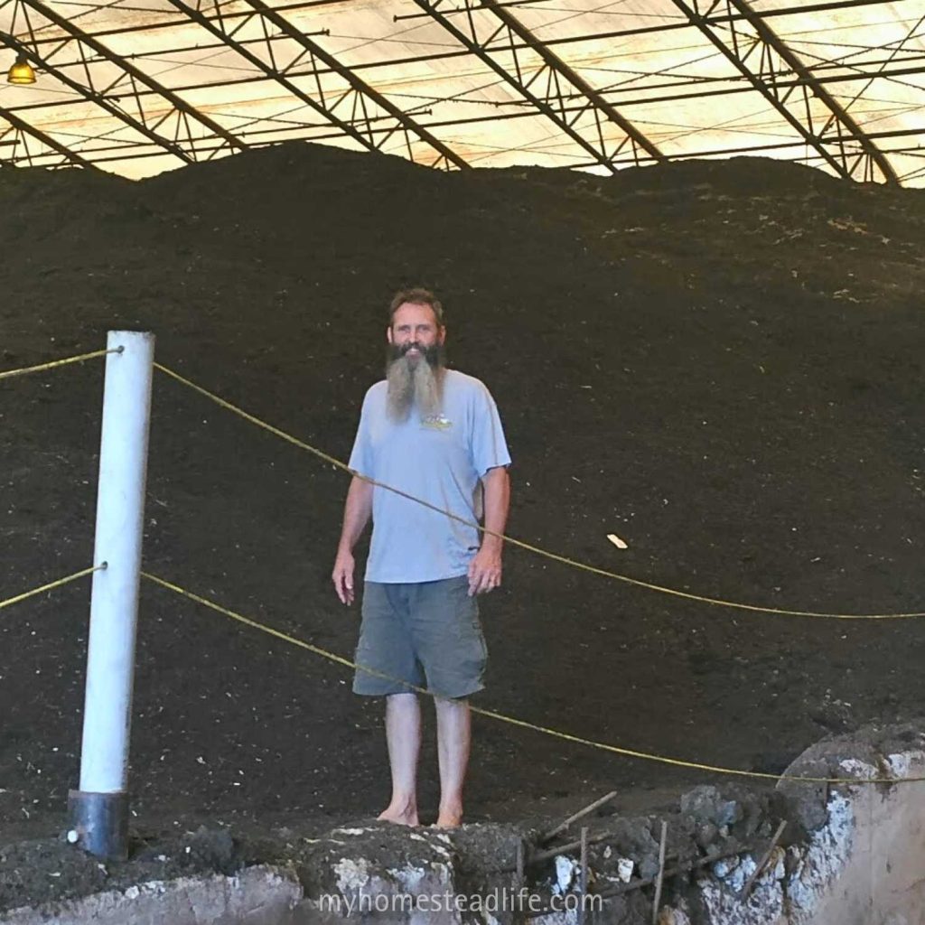 Timmy standing by the compost pile